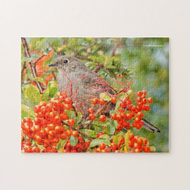 Solitaire Songbird von Townsend auf der Pyracantha Puzzle (Horizontal)