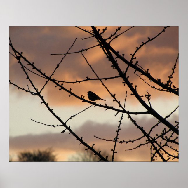 Solitäre Silhouette Poster (Vorne)