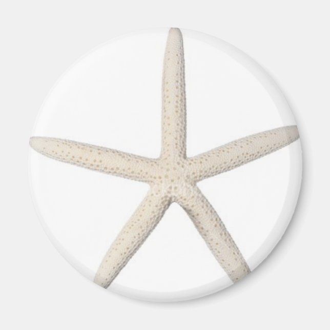 Solitärfisch Magnet (Vorne)