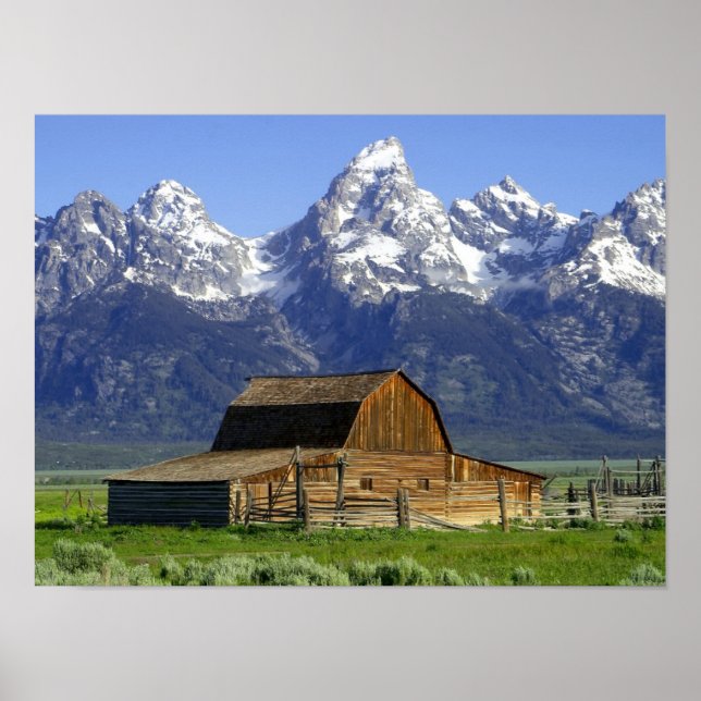 Solitary Barn at Grand Tetons Poster (Vorne)