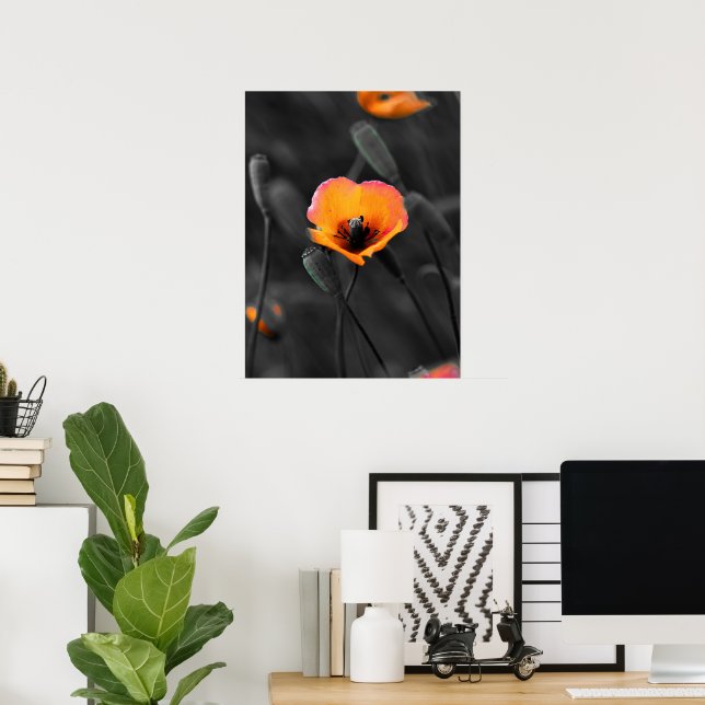 Solitary Bloom in Monochrome Poster (Heimbüro)