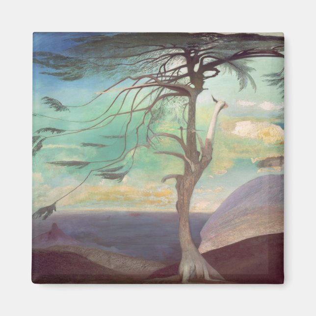 Solitary Cedar, 1907 Magnet (Vorne)