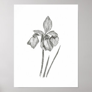 Solitary Iris Print Poster