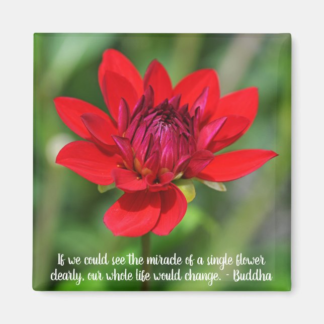 Solitary Red Dahlia Blume Wisley Motivierend Magnet (Vorne)