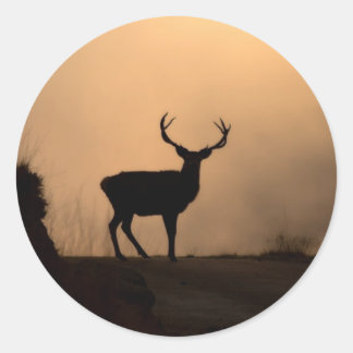 Solitary Red Stag Stickers