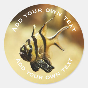 Solitary Stripfish Unterwasser Benutzerdefinierter Runder Aufkleber