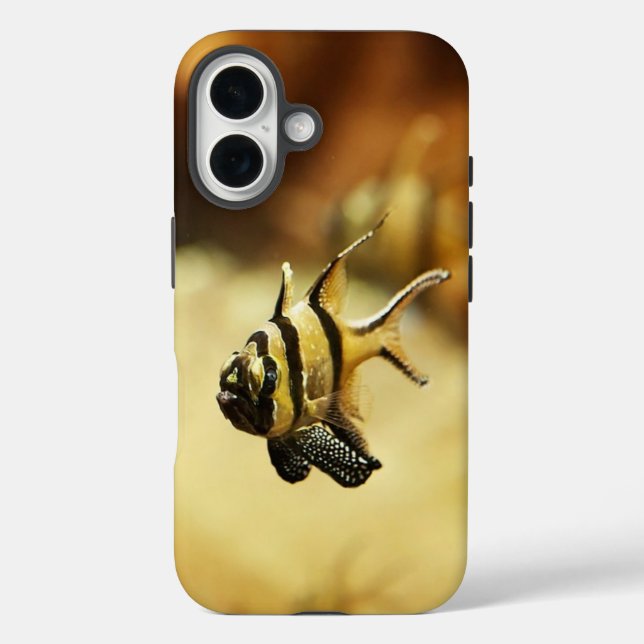 Solitary Stripfish Unterwasser Case-Mate iPhone Hülle (Rückseite)