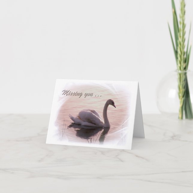 Solitary Swan Karte (Vorderseite)