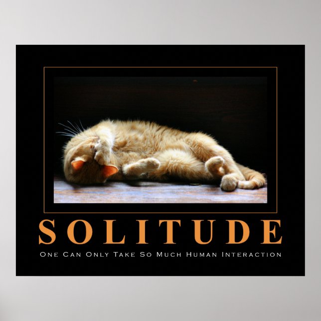 SOLITUDE Cat Fotografy Anti-Motivierend Poster (Vorne)