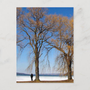 Solitude - Cayuga Lake Postkarte