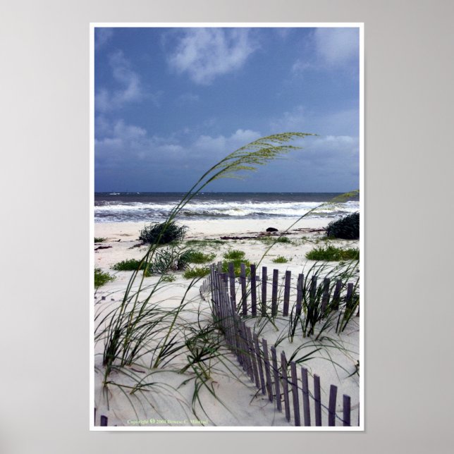 Solitude Poster (Vorne)