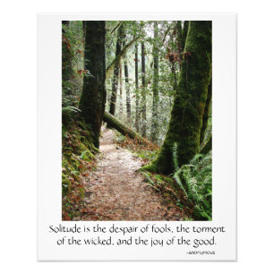 Solitude Zitat Bäume Redwoods Wanderweg Poster