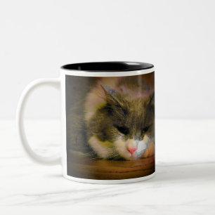 Sollte in Bett Katze Meme bleibe haben Zweifarbige Tasse