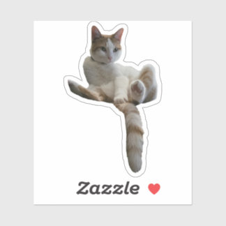 Sollten Sie das vielleicht abdecken? Katze Aufkleber