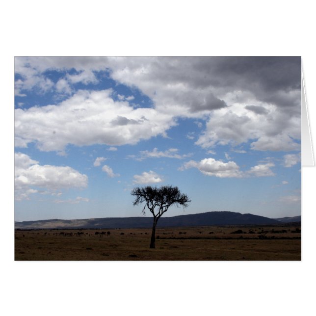 Solo (Vorderseite (Horizontal))