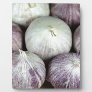 Solo Knolic Fotoplatte