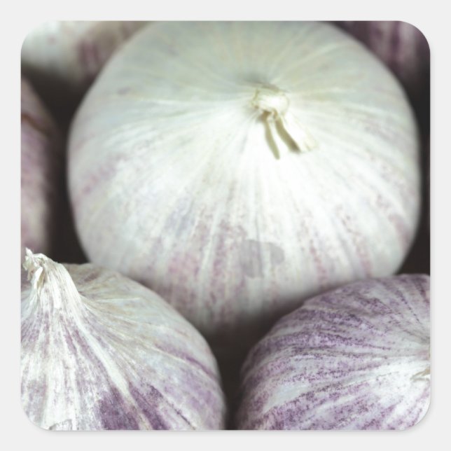 Solo Knolic Quadratischer Aufkleber (Vorderseite)