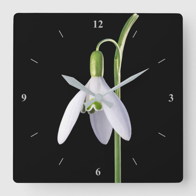 Solo-Perfektion Quadratische Wanduhr (Vorderseite)