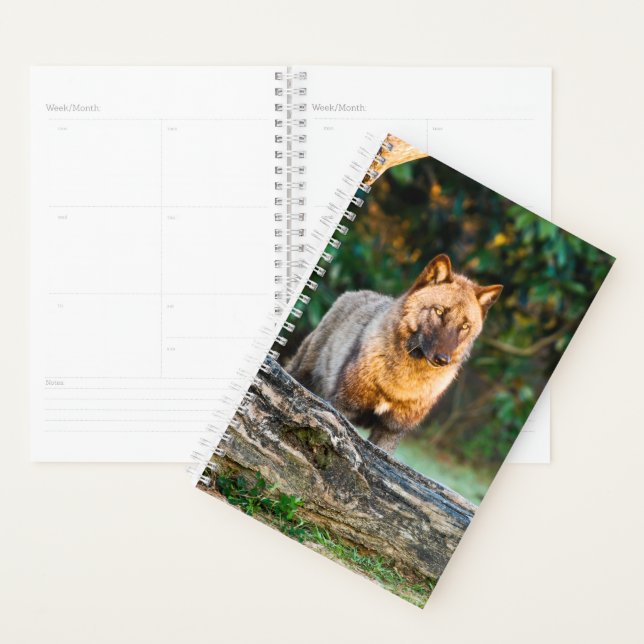 Solo Wolf Planner Planer (Anzeige)