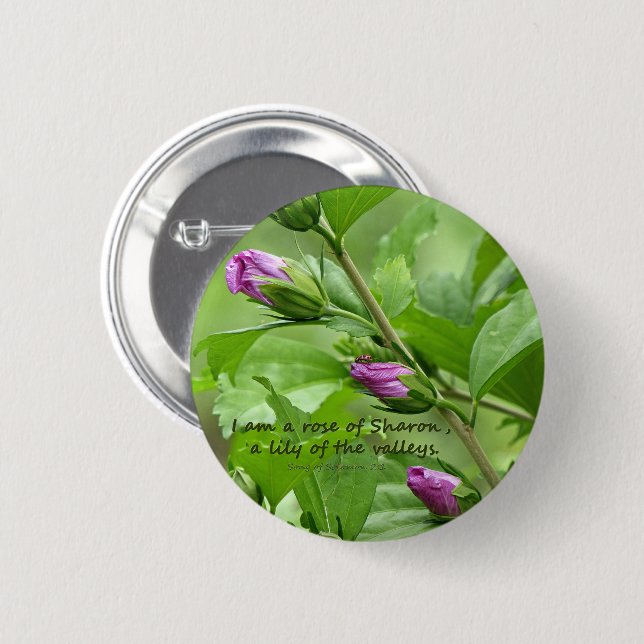 Solomon-Lied 2:1 Button (Vorne & Hinten)