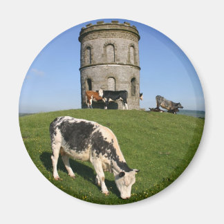 Solomon-Tempel-Kühlschrankmagnet Magnet