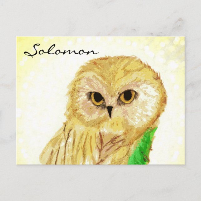 Solomon the Wise Owl From Sara Books Postkarte (Vorderseite)