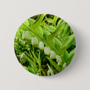 Solomons Siegel Abzeichen Button