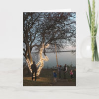 Solstice Light im Nachbarschafts-Foto