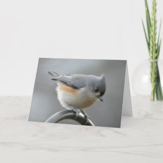 Solstitiskarte Karte