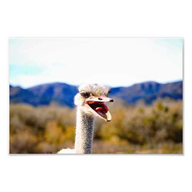 Solvang, CA Fotodruck (Vorne)