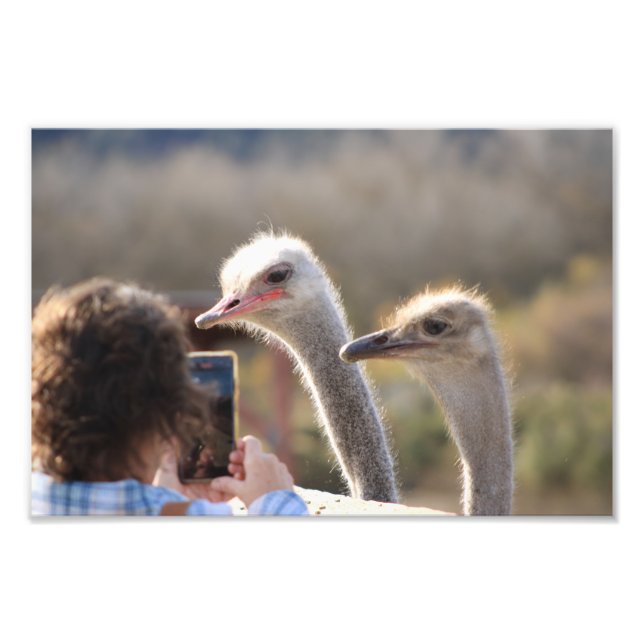 Solvang, CA Fotodruck (Vorne)