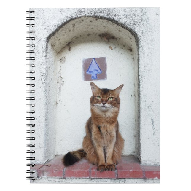 Somali Cat in Alcove Old World Scene Notizblock (Vorderseite)