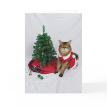 Somali Cat Santa Tree Dekorieren Weihnachtskarte