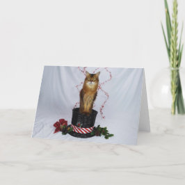 Somali Katze in einem Weihnachts-Hat-Korb Gruß Dankeskarte