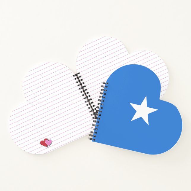 Somalia-Flagge Notizbuch (Innenseite)