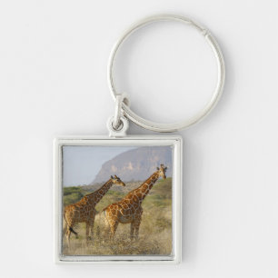 Somalische Giraffe, retikulierte Giraffe, Giraffa Schlüsselanhänger