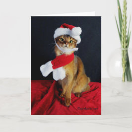 Somalische Katzen-Feiertags-Gruß-Karte Feiertagskarte