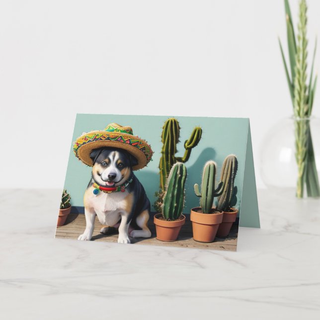 Sombrero perro feiertagskarte (Vorderseite)