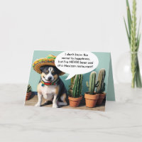 Sombrero perro meme