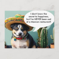 Sombrero perro meme