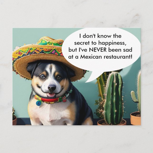 Sombrero perro meme postkarte (Vorderseite)