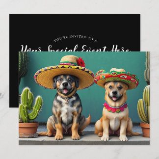Sombreros perros einladung
