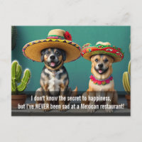 Sombreros perros meme