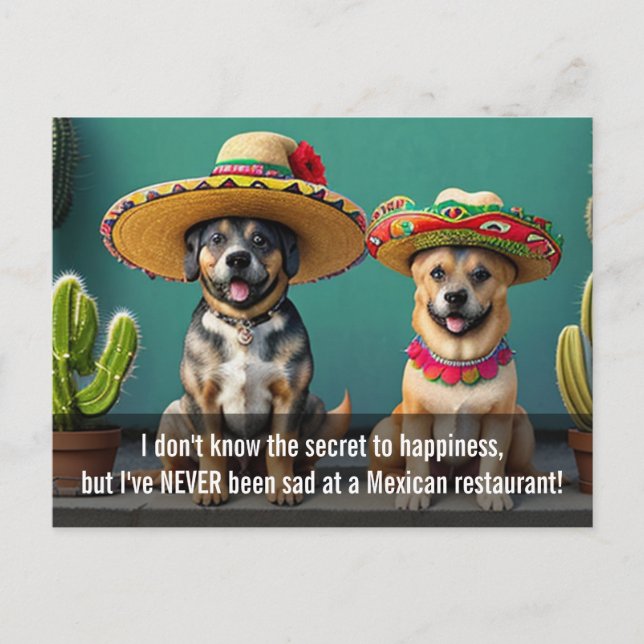 Sombreros perros meme postkarte (Vorderseite)