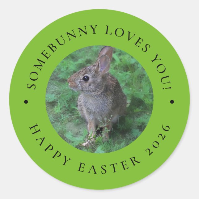 SomeBunny Loves You Valentine's Day Easter Sticker (Vorderseite)