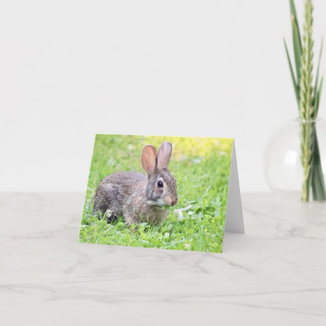 Somebunny to Liebe Note Card Karte (Vorderseite)