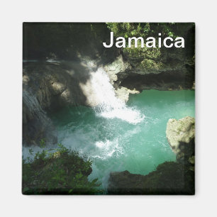 Somerset Falls Jamaica Foto Magnet Wasserfall