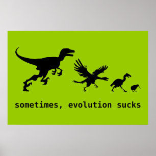 Sometimes, Evolution Sucks Poster