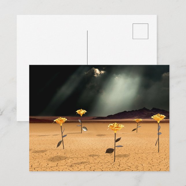 Somewhere No. 3 Postkarte (Vorne/Hinten)
