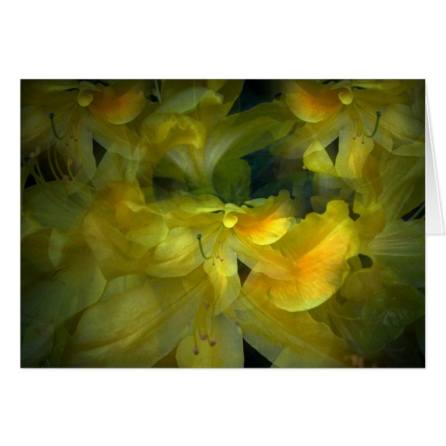 Sommer (Vorderseite (Horizontal))